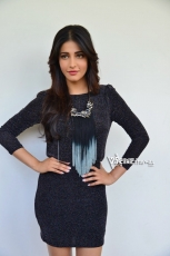 Shruti Haasan New Photo Stills at Race Gurram Success Meet 25CineFrames