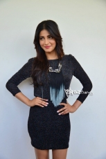 Shruti Haasan New Photo Stills at Race Gurram Success Meet 25CineFrames