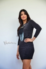 Shruti Haasan New Photo Stills at Race Gurram Success Meet 25CineFrames