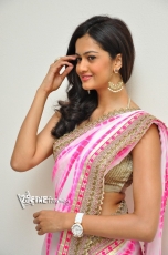 Shubra Aiyappa Latest Hot photo Stills in Saree