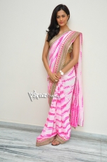 Shubra Aiyappa Latest Hot photo Stills in Saree