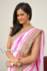 Shubra Aiyappa Latest Hot photo Stills in Saree