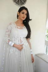 Sonal Chauhan Latest Stills in White dress 25CineFrames