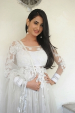 Sonal Chauhan Latest Stills in White dress 25CineFrames