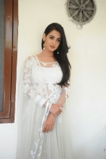 Sonal Chauhan Latest Stills in White dress 25CineFrames