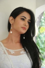 Sonal Chauhan Latest Stills in White dress 25CineFrames