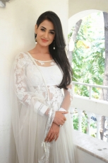 Sonal Chauhan Latest Stills in White dress 25CineFrames