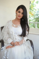 Sonal Chauhan Latest Stills in White dress 25CineFrames