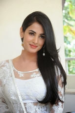 Sonal Chauhan Latest Stills in White dress 25CineFrames