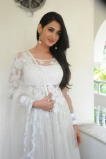 Sonal Chauhan Latest Stills in White dress 25CineFrames