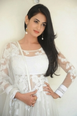 Sonal Chauhan Latest Stills in White dress 25CineFrames