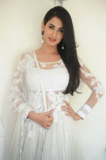 Sonal Chauhan Latest Stills in White dress 25CineFrames