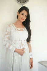 Sonal Chauhan Latest Stills in White dress 25CineFrames