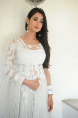 Sonal Chauhan Latest Stills in White dress 25CineFrames