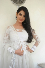 Sonal Chauhan Latest Stills in White dress 25CineFrames