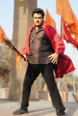 BalaKrishna Legend Movie HD Stills 50 Days 25CineFrames