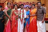 Actress Amala paul and Director Vijay Marriage Photos