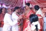 Actress Amala paul and Director Vijay Marriage Photos