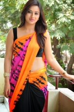 Isha Chawla Latest Hot Navel  Saree Photos Stills