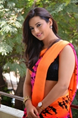 Isha Chawla Latest Hot Navel  Saree Photos Stills