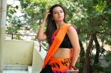Isha Chawla Latest Hot Navel  Saree Photos Stills