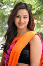 Isha Chawla Latest Hot Navel  Saree Photos Stills