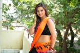 Isha Chawla Latest Hot Navel  Saree Photos Stills