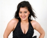 Roshitha Hot Spicy Photos Gallery