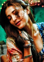 Shruti Haasan Gelupu Gurram Movie Hot Stills