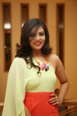 11-Sri-Mukhi-Latest-Glamorous-Photos