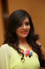 14-Sri-Mukhi-Latest-Glamorous-Photos