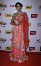 61st Idea Filmfare Awards 2014 Photo Gallery Photos