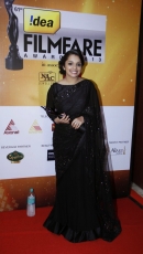 61st Idea Filmfare Awards 2014 Photo Gallery Photos