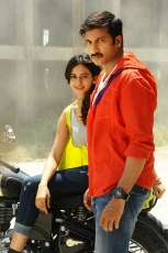 Gopichand Rakul Preet Singh Loukyam Movie Latest Photos Stills