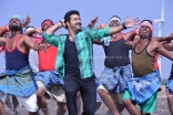 7-Jr-Ntr-Rabhasa-Movie-New-Latest-Stills-Samantha-Pranitha