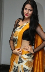 Lavanya Tripathi Yellow Saree Photos at Ala Ela Audio Launch