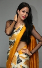 Lavanya Tripathi Yellow Saree Photos at Ala Ela Audio Launch