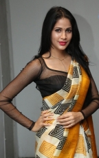 Lavanya Tripathi Yellow Saree Photos at Ala Ela Audio Launch