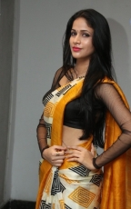 Lavanya Tripathi Yellow Saree Photos at Ala Ela Audio Launch