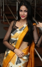 Lavanya Tripathi Yellow Saree Photos at Ala Ela Audio Launch