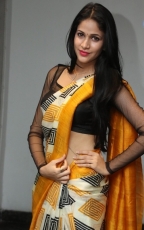 Lavanya Tripathi Yellow Saree Photos at Ala Ela Audio Launch