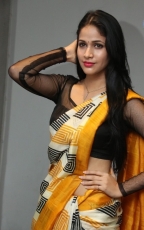 Lavanya Tripathi Yellow Saree Photos at Ala Ela Audio Launch