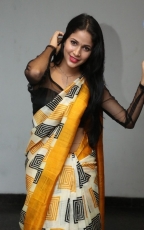 Lavanya Tripathi Yellow Saree Photos at Ala Ela Audio Launch