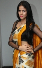 Lavanya Tripathi Yellow Saree Photos at Ala Ela Audio Launch