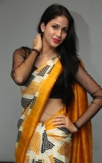 Lavanya Tripathi Yellow Saree Photos at Ala Ela Audio Launch