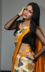 Lavanya Tripathi Yellow Saree Photos at Ala Ela Audio Launch