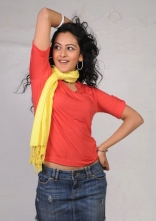 Rakul Preet Singh Photo Shoot Stills in Red T-Shirt and Shorts