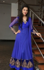 Richa Panai New Photos in Blue dress