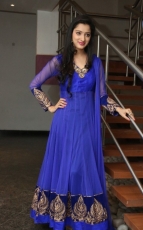 Richa Panai New Photos in Blue dress