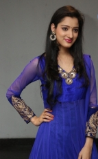 Richa Panai New Photos in Blue dress